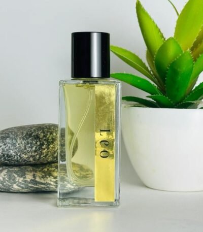 leo inspired by dior sauvage